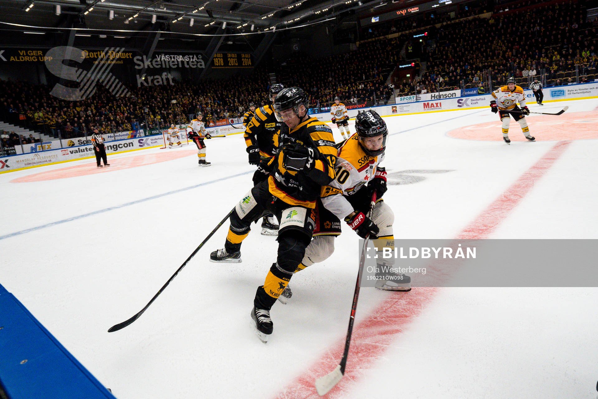 Skellefteås Adam Pettersson