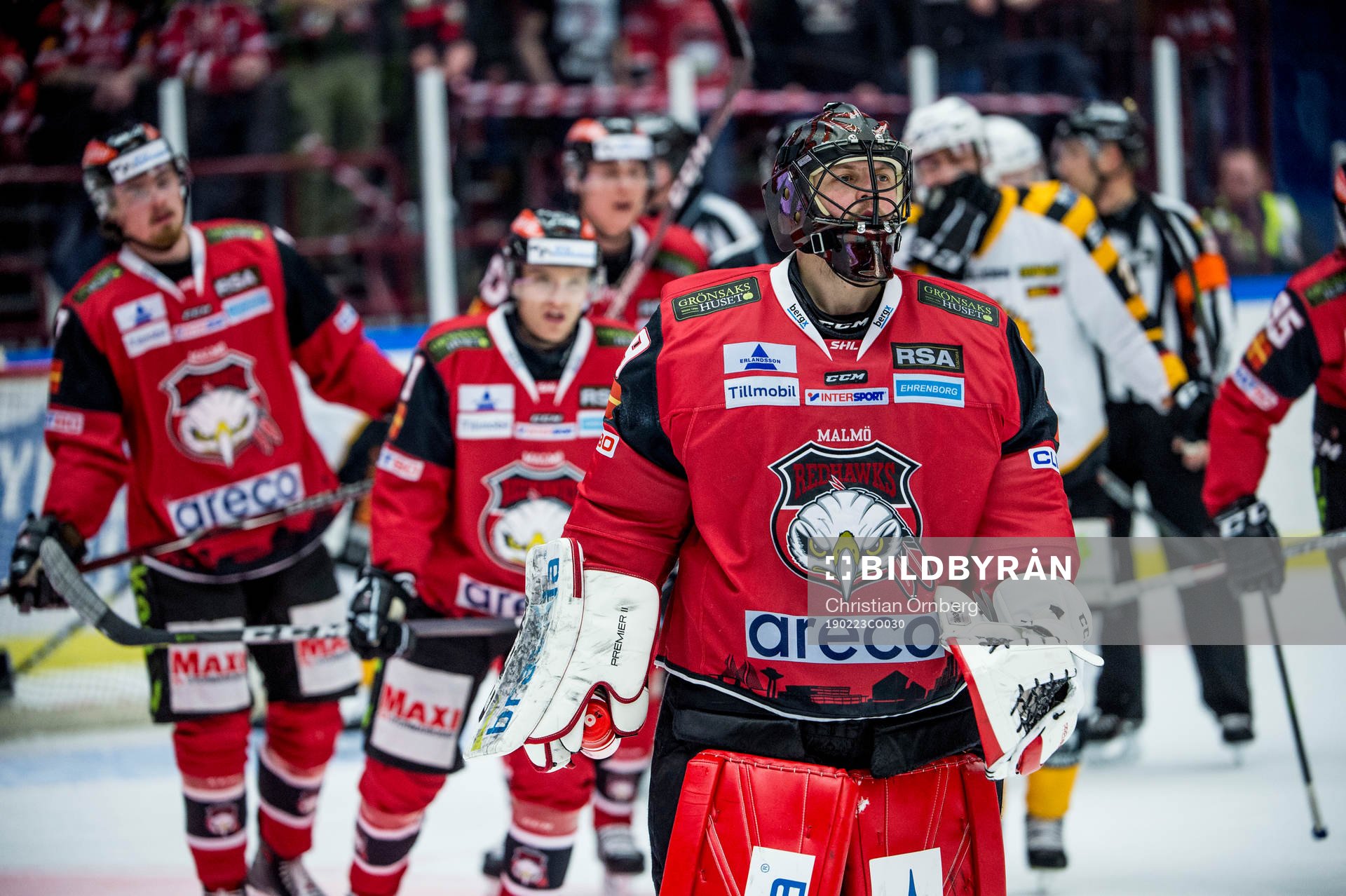 Malmö Redhawks målvakt Oscar Alsenfelt deppar