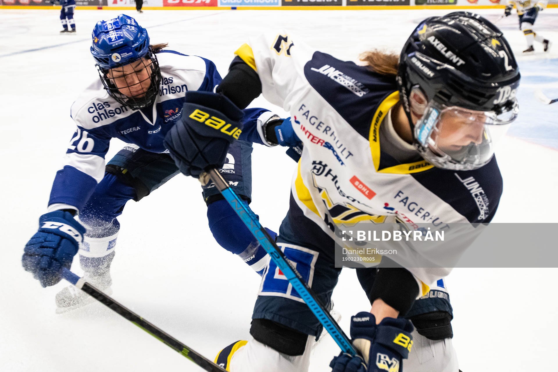 s Rosa Lindstedt