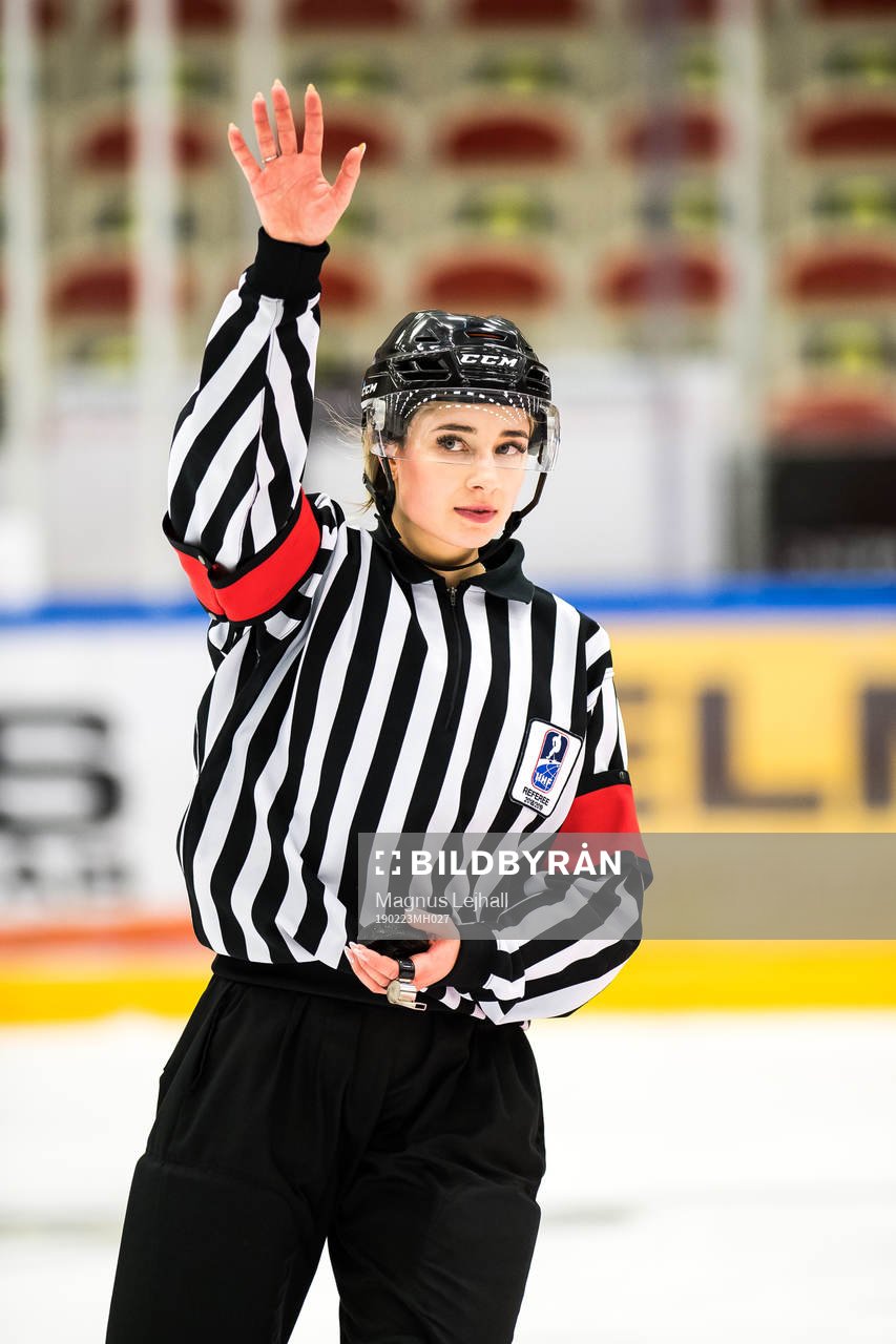 Huvuddomare i ishockey i Stålbucklan mellan