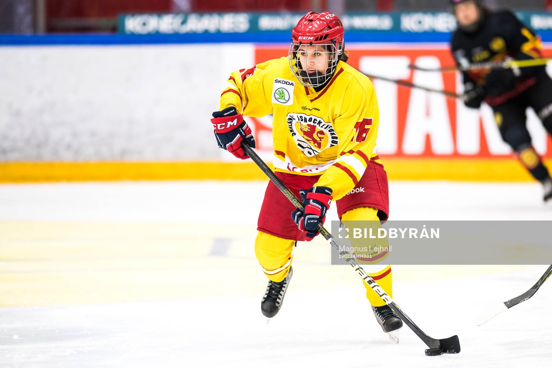Smålands Alice Jiborn