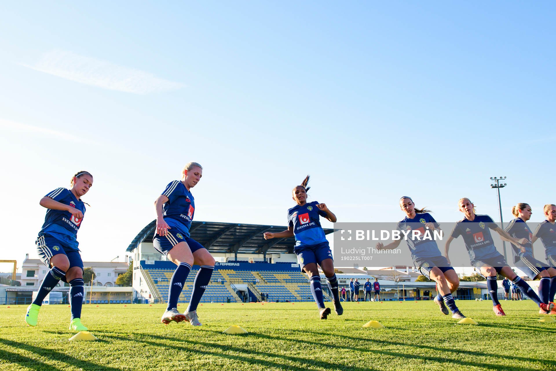 Sveriges spelare värmer upp