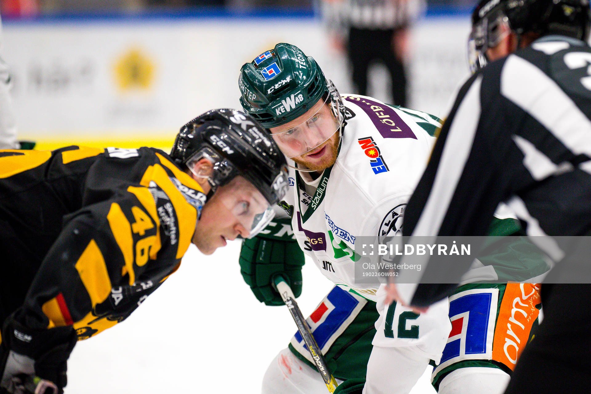 Skellefteås Mathis Olimb