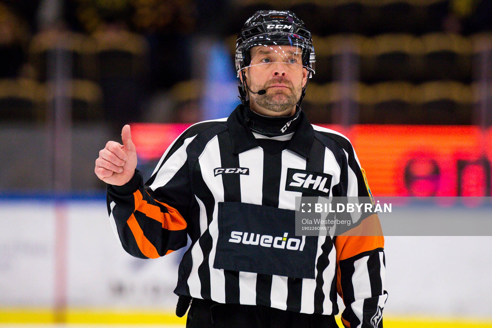Domare Patrik Sjöberg