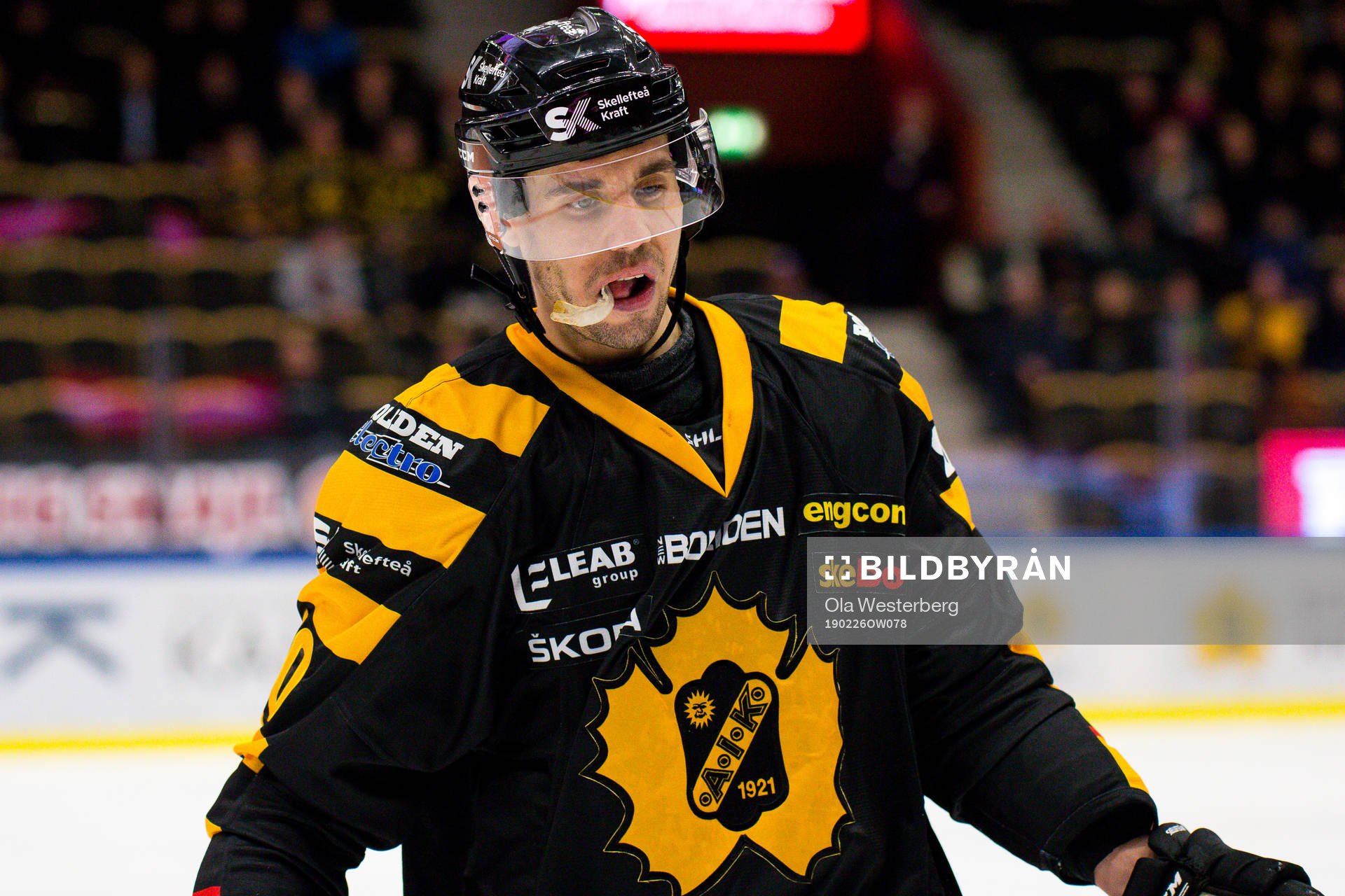 Skellefteås Jesper Jensen