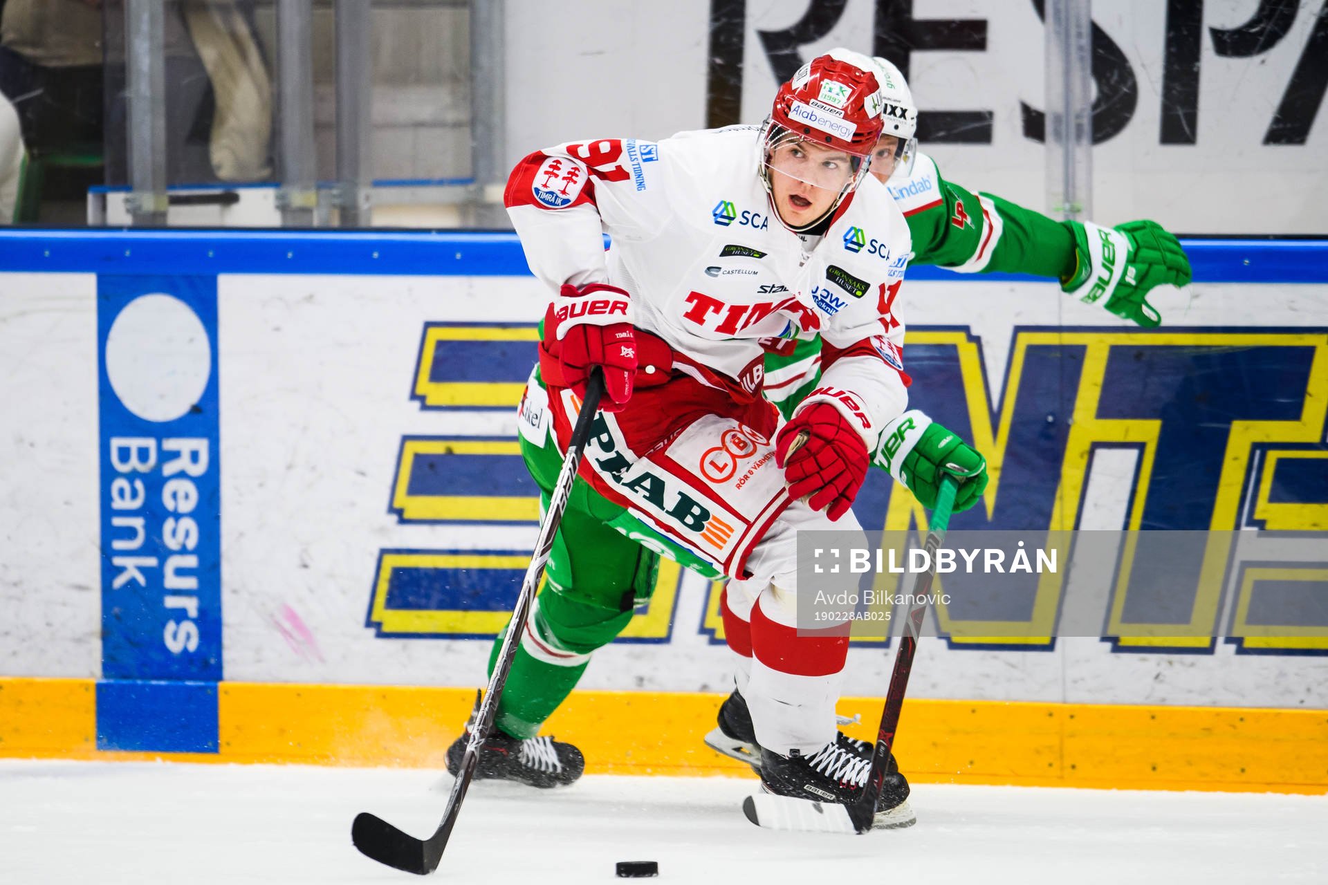 Timrås Filip Hållander