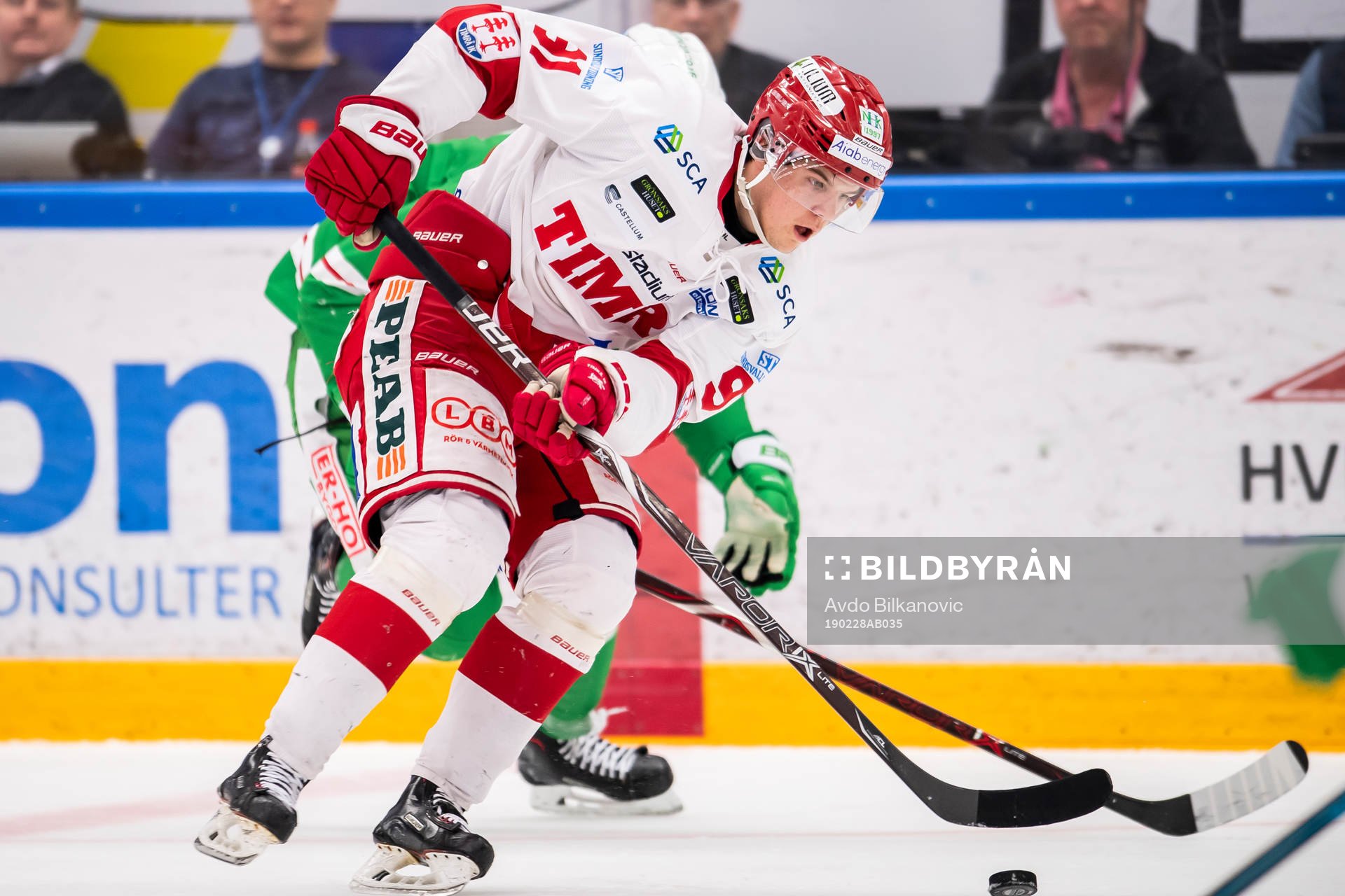 Timrås Filip Hållander