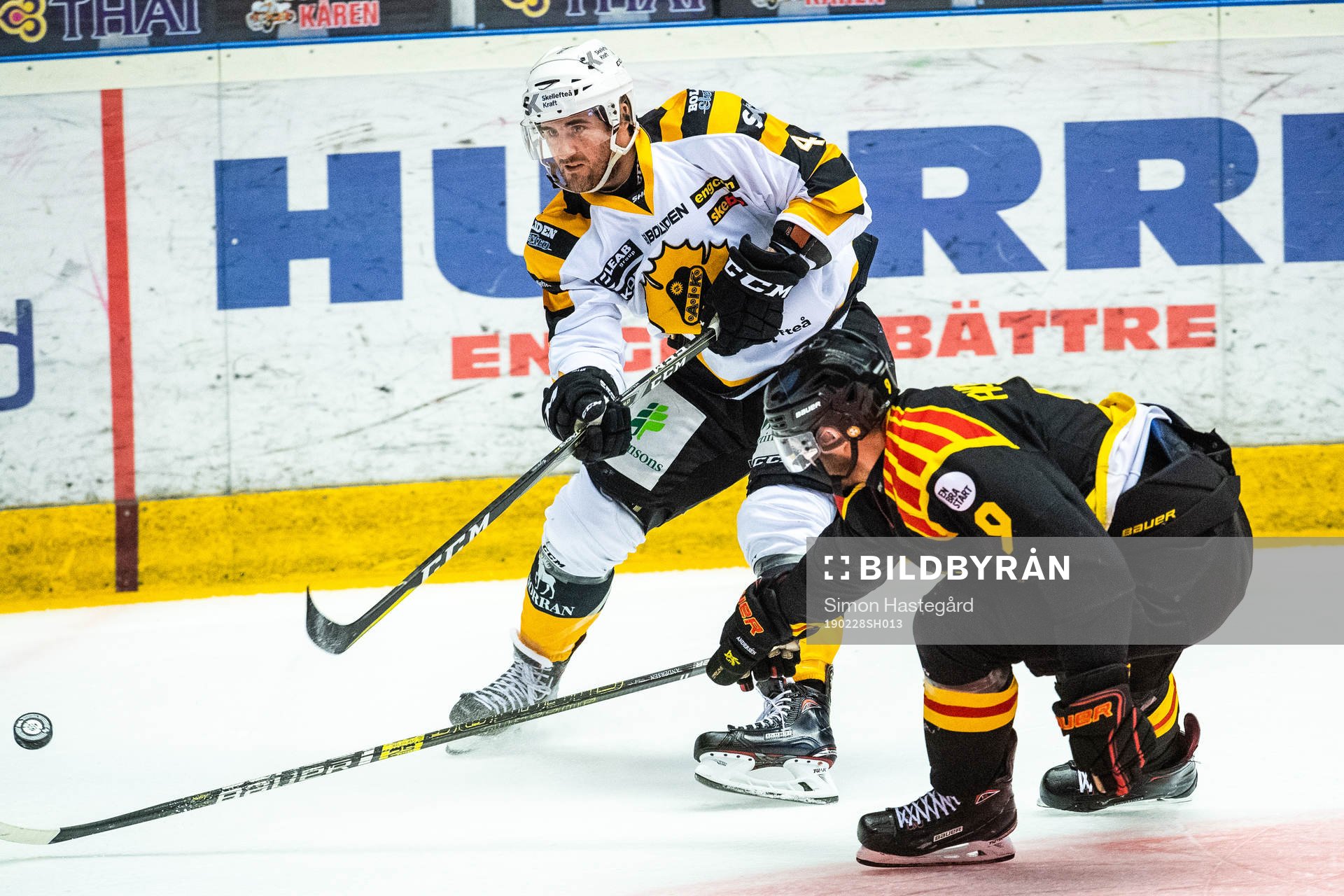 Skellefteås Bud Holloway och Brynäs Niclas Andersén