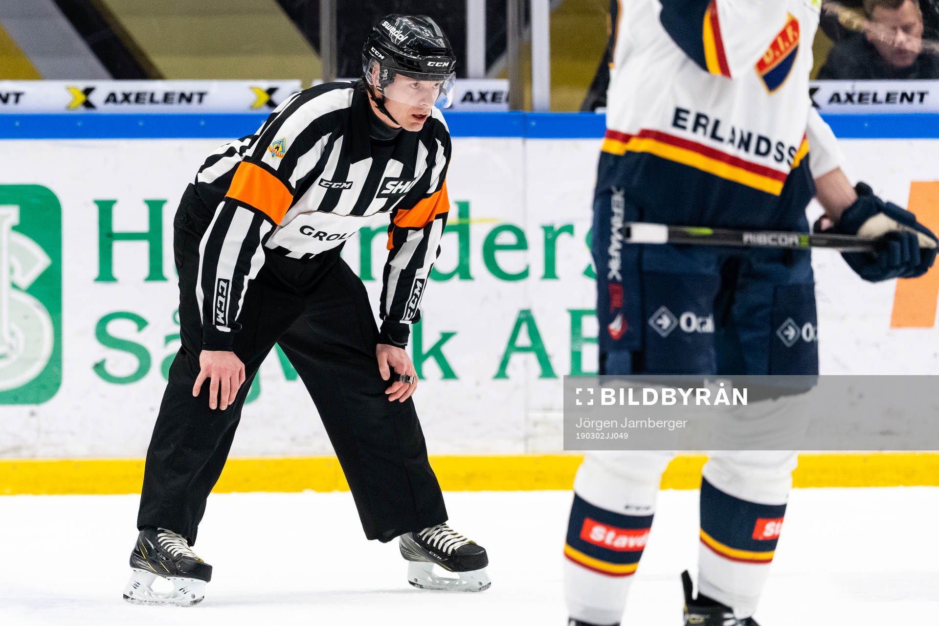 Domare Mikael Andersson
