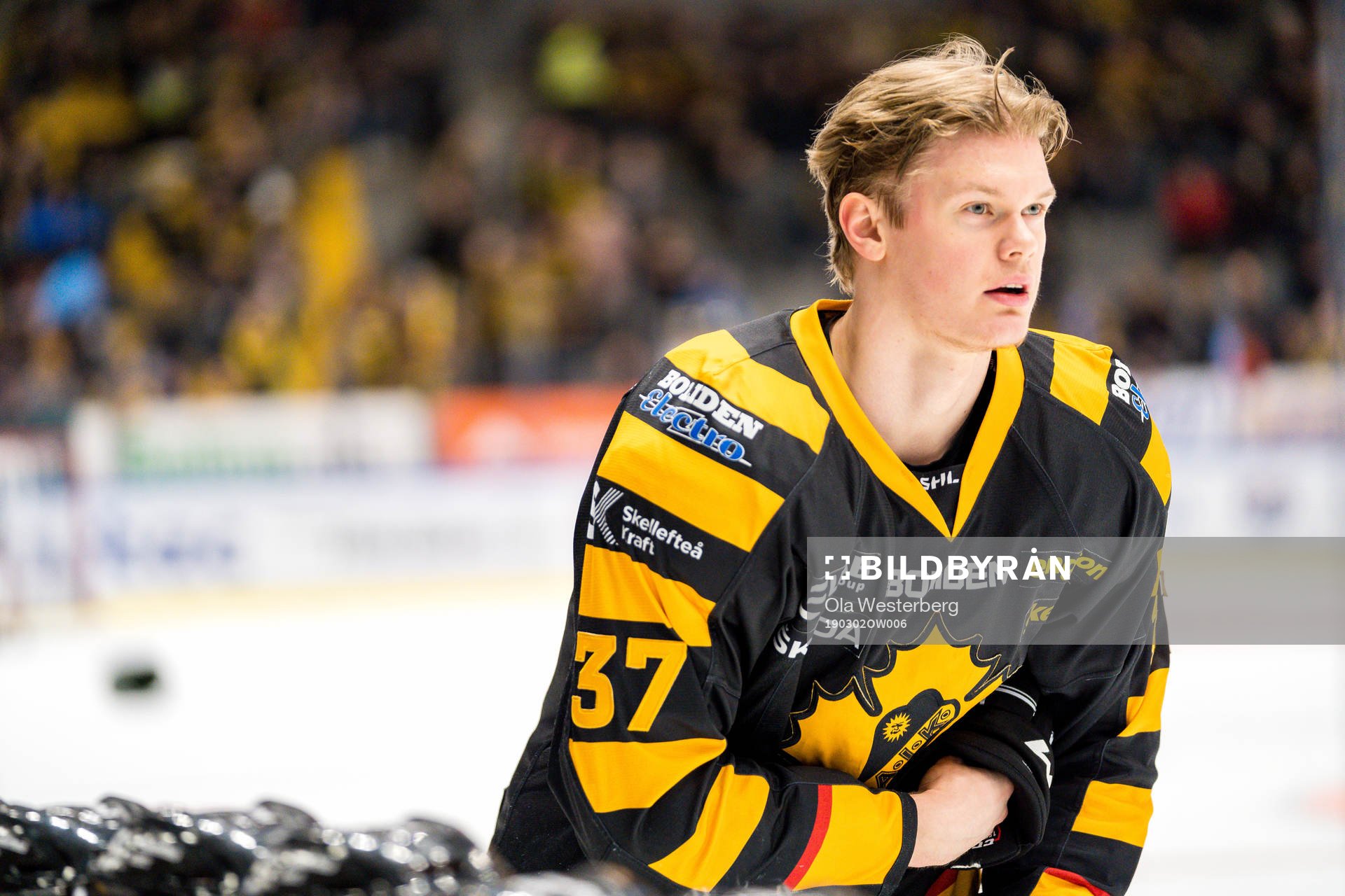 Skellefteås Albin Eriksson