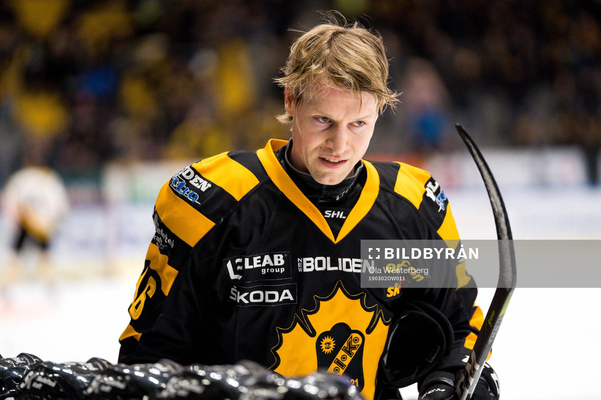 Skellefteås Mathis Olimb