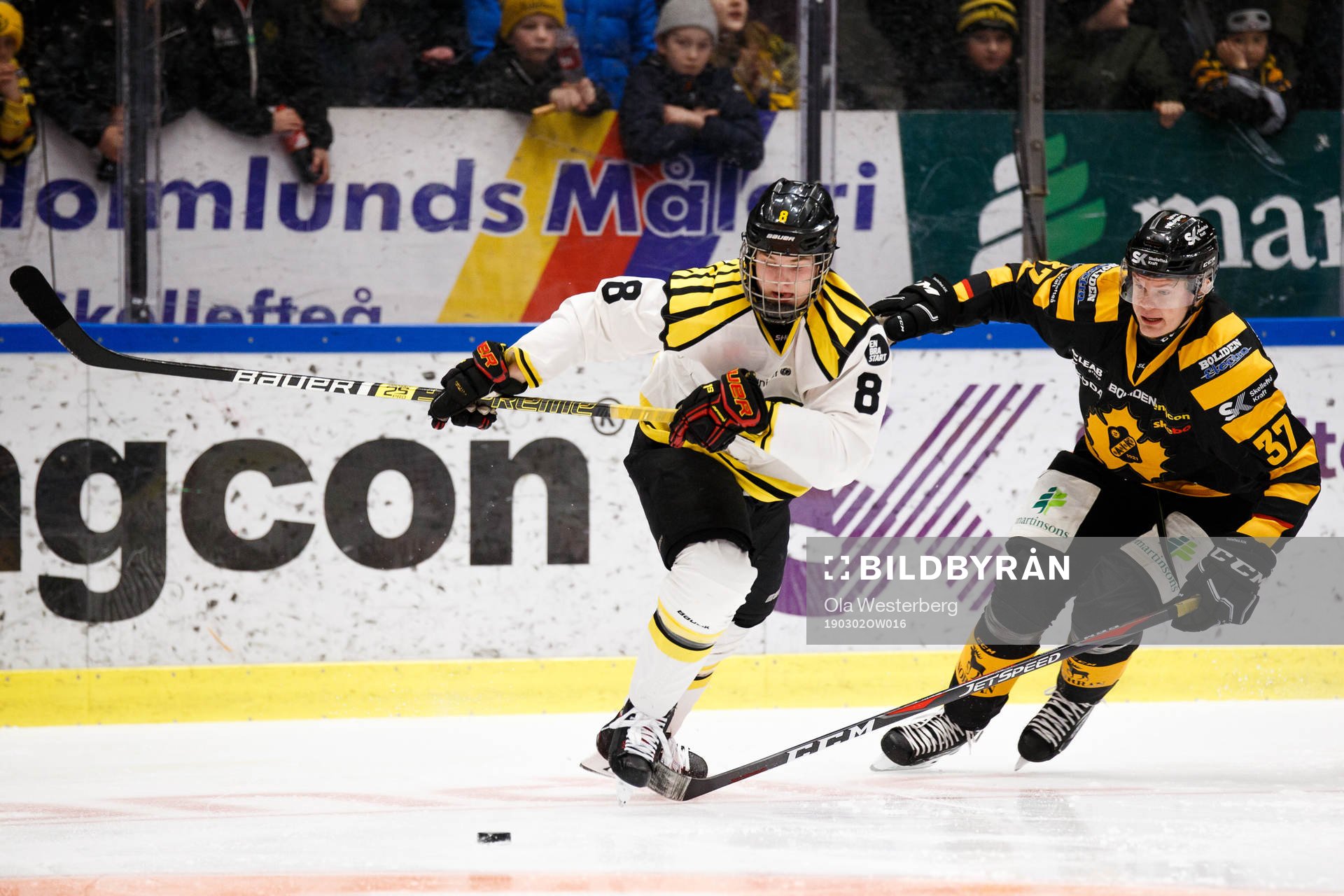 Brynäs Victor Söderström och Skellefteås Albin Eriksson