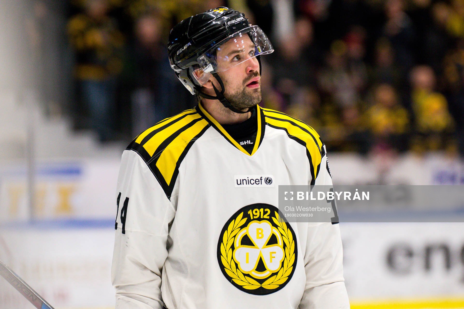 Brynäs Johan Alcén