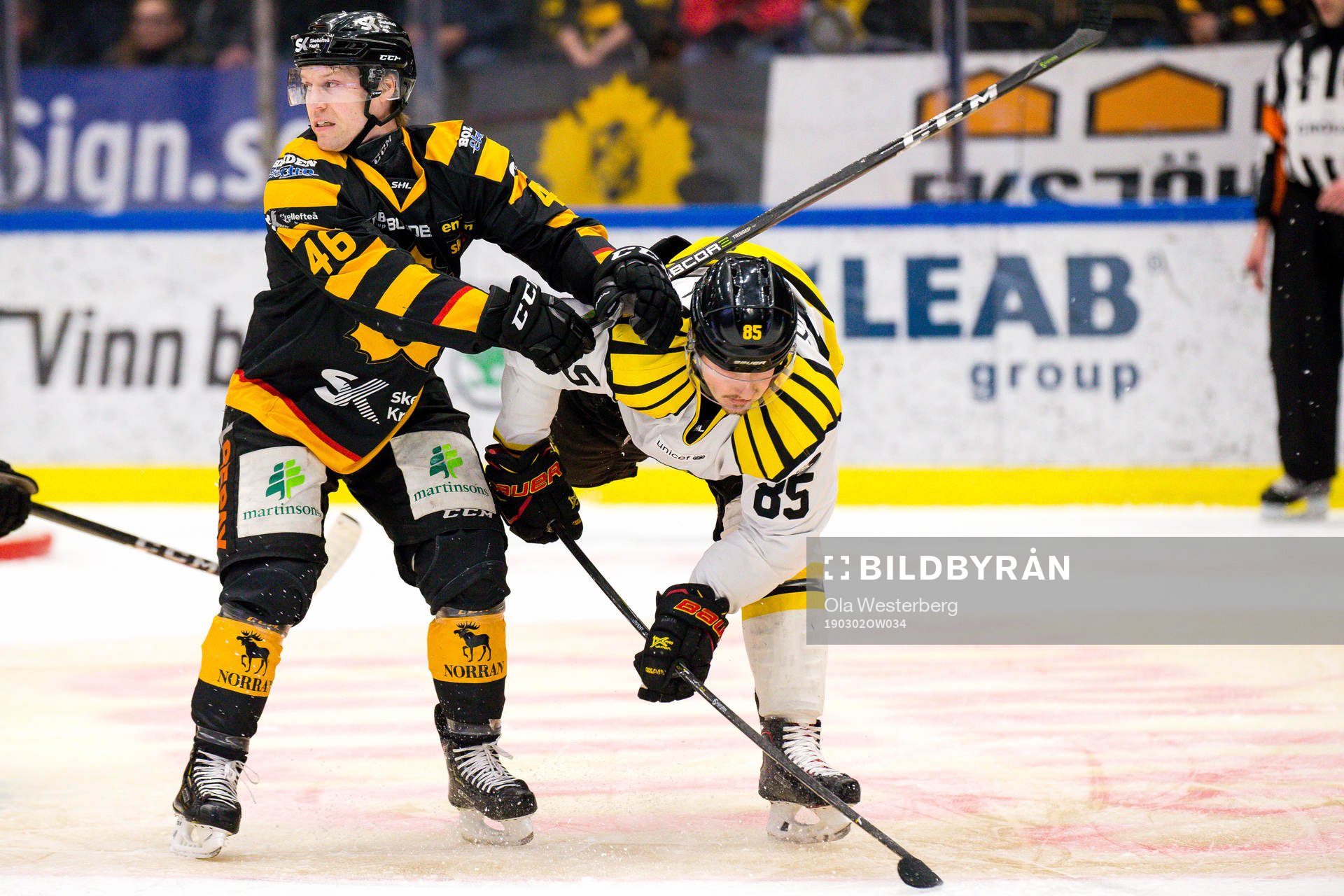 Skellefteås Mathis Olimb