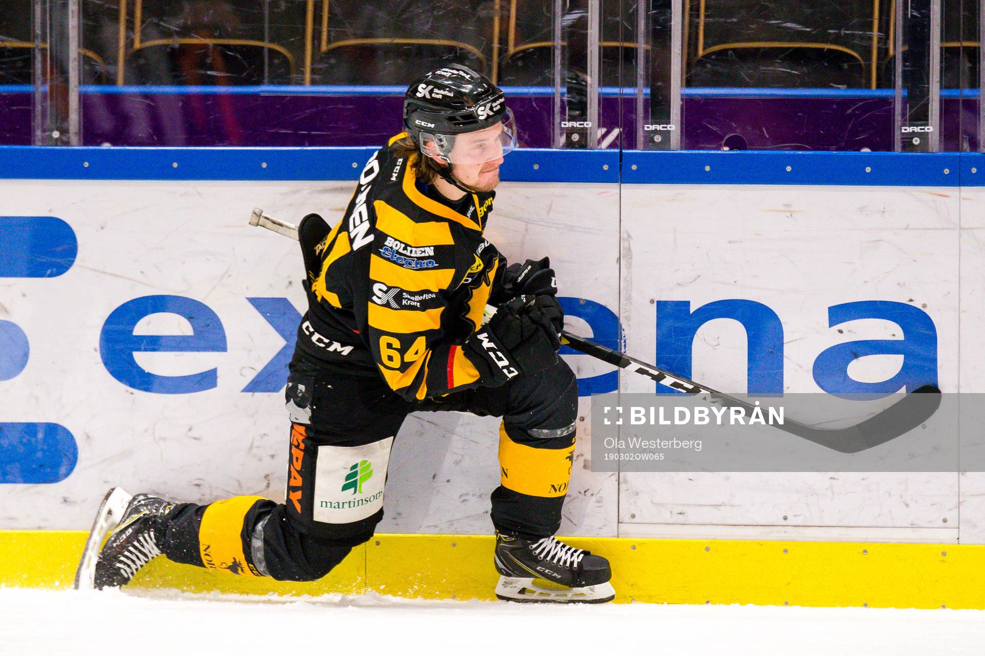 Skellefteås Jonathan Pudas  jublar