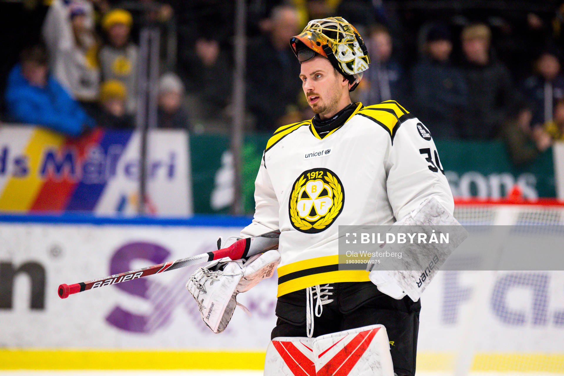 Brynäs målvakt Joacim Eriksson