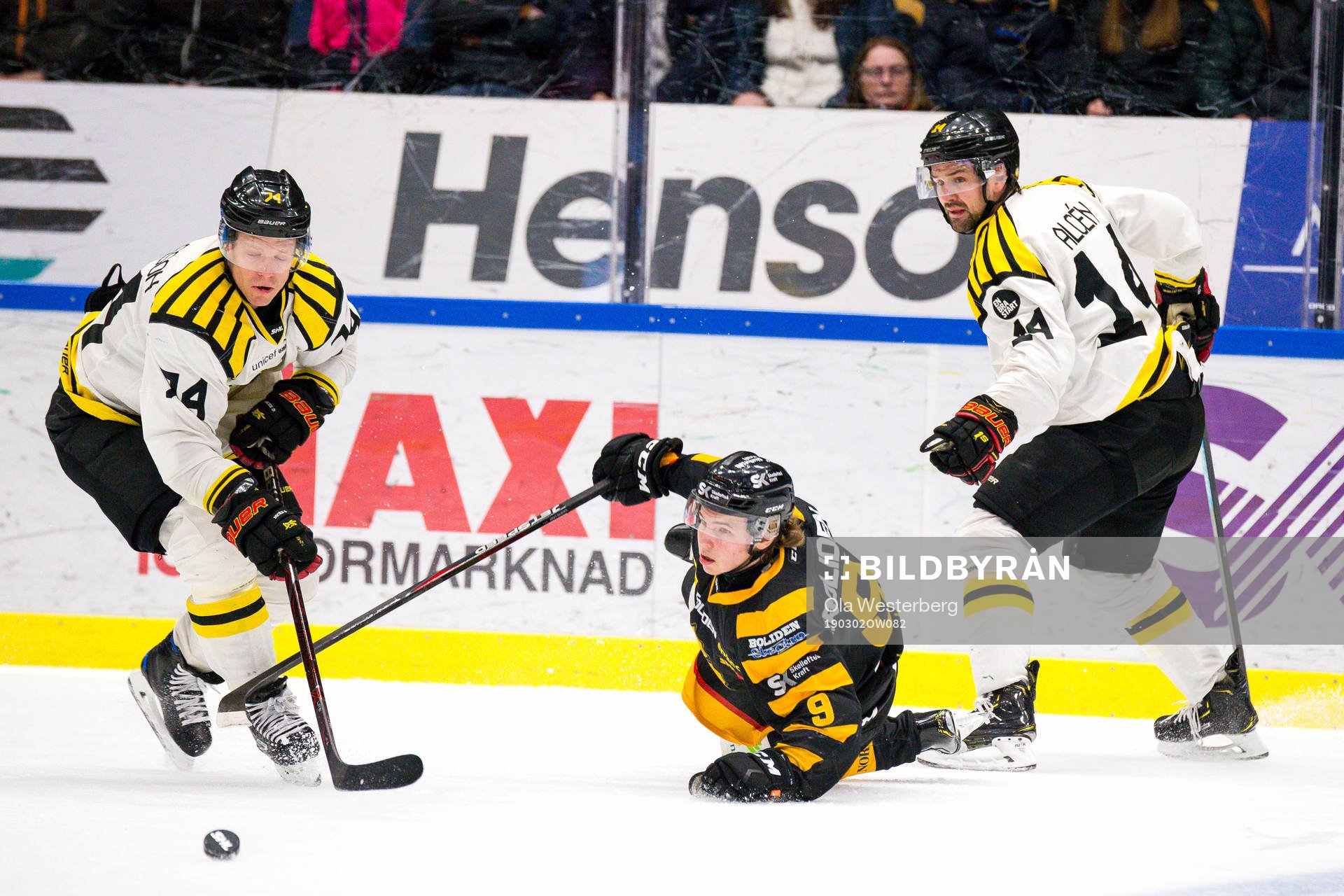 Skellefteås Tim Söderlund