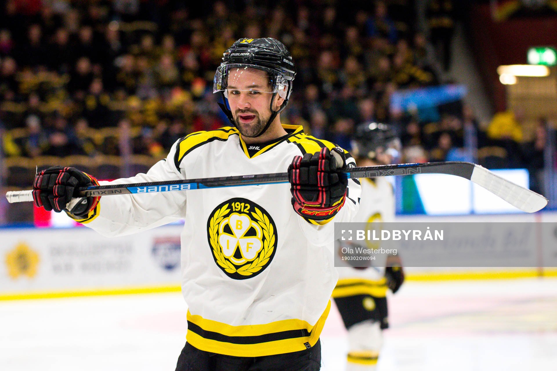 Brynäs Johan Alcén