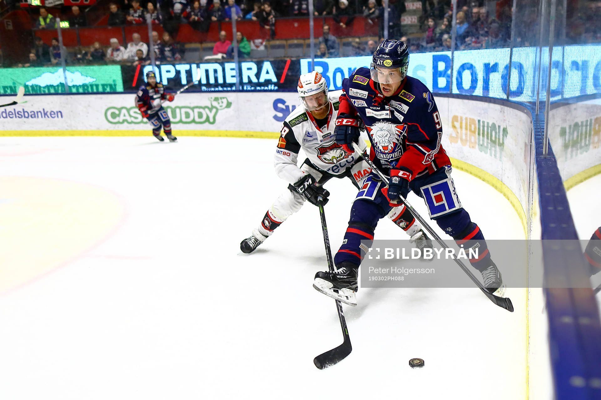 Linköpings Derek Roy