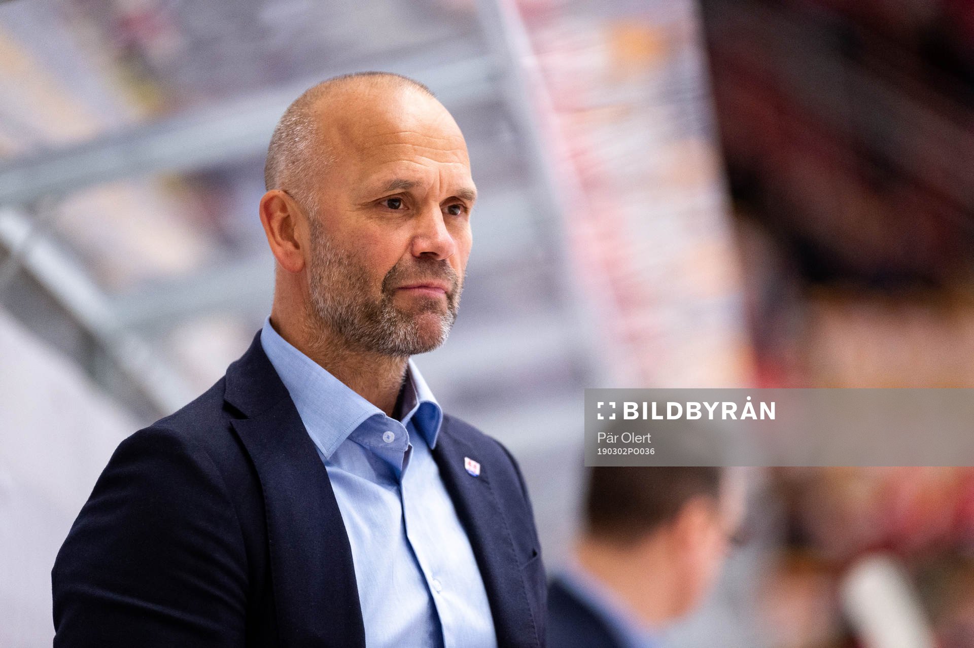 Timrås assisterande tränare Tommy Sjödin