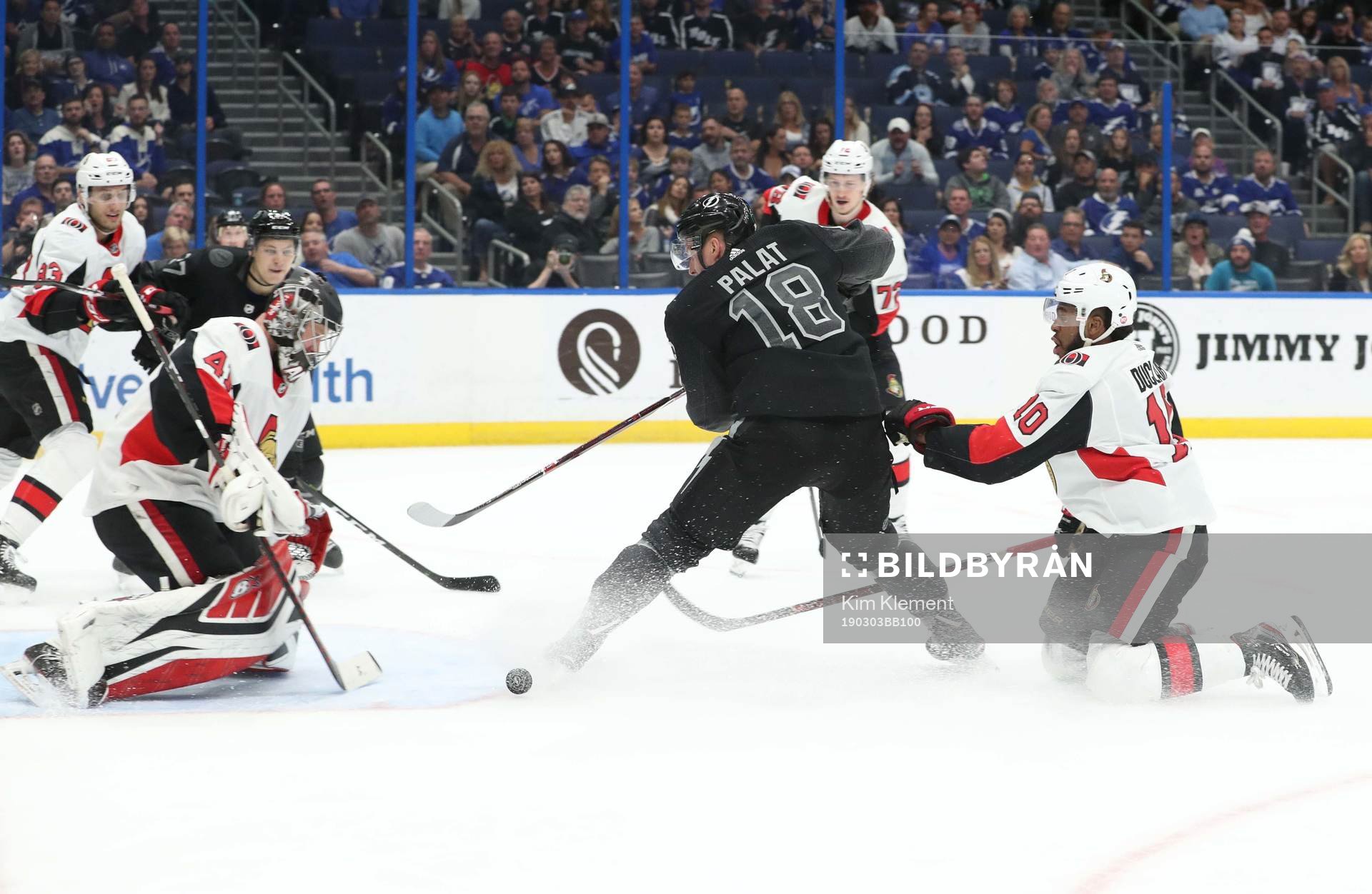 Ishockey, NHL Mar 2, 2019; Tampa, FL, USA; Tampa Bay