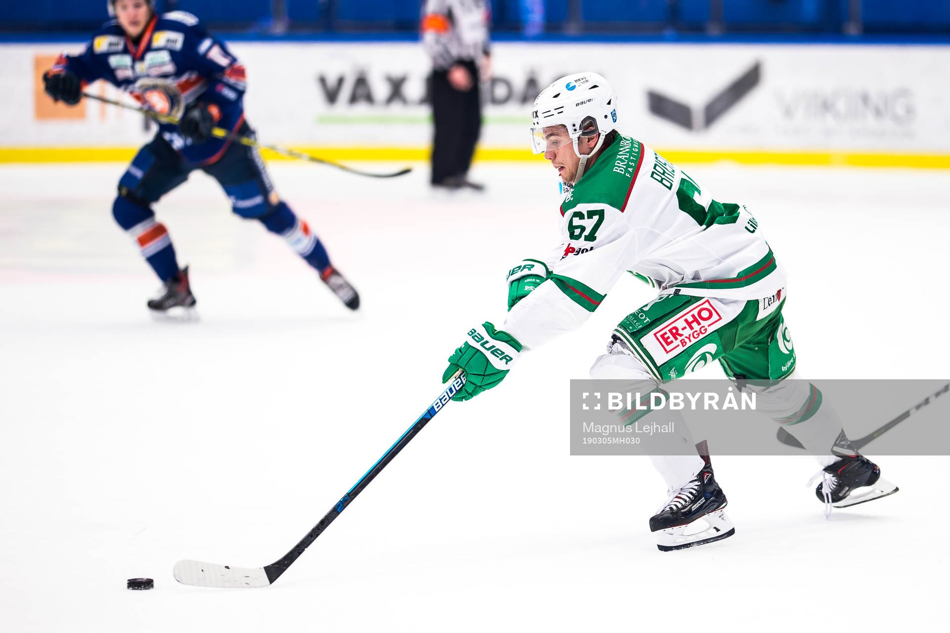 Rögles Leon Bristedt