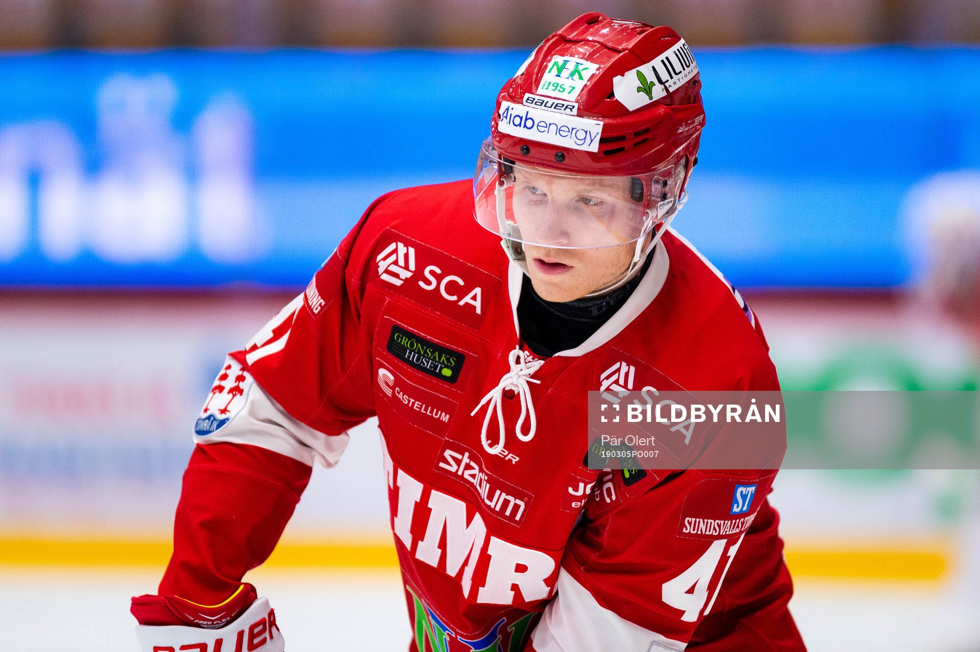 Timrås Alexander Falk