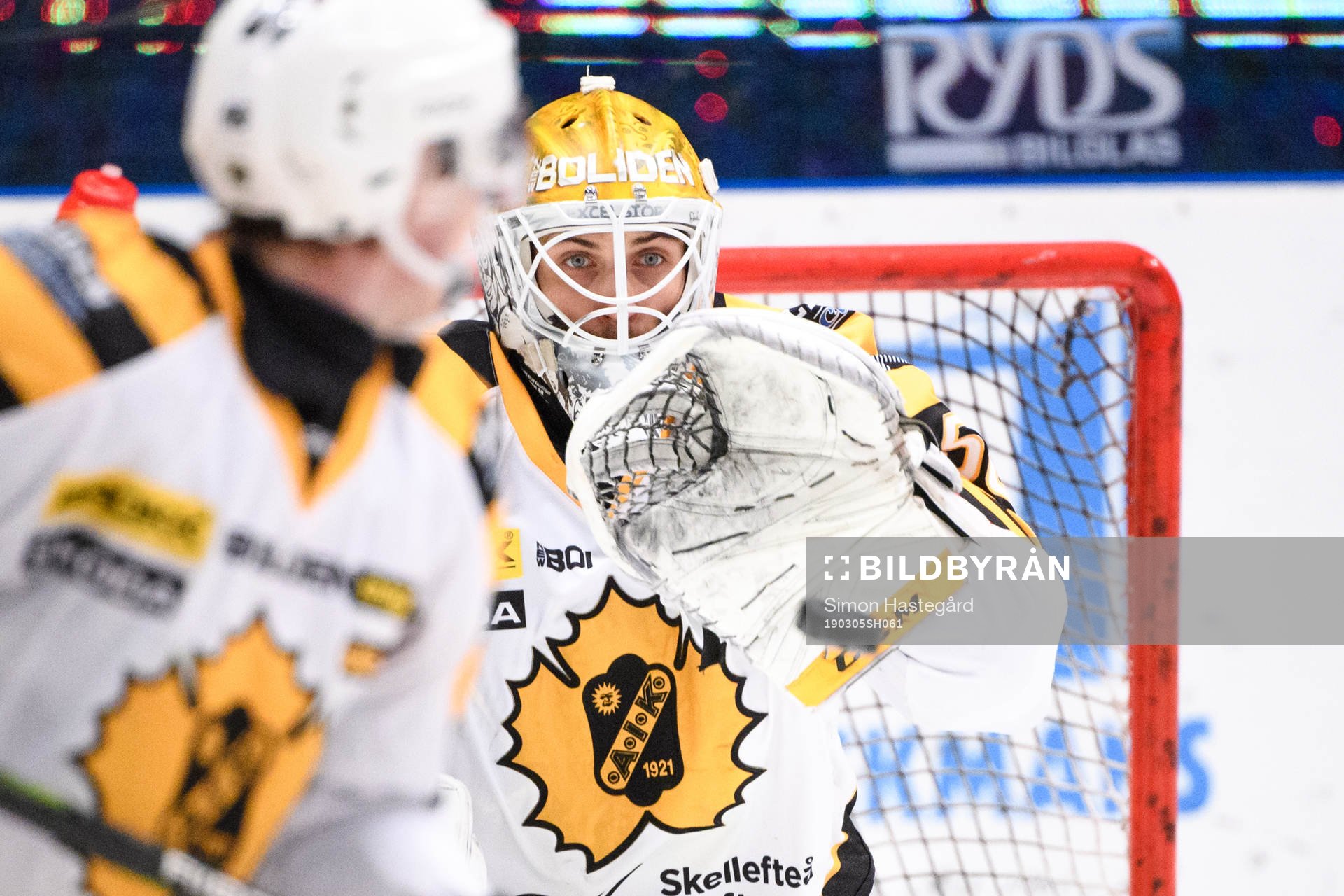 Skellefteås målvakt Mantas Armalis