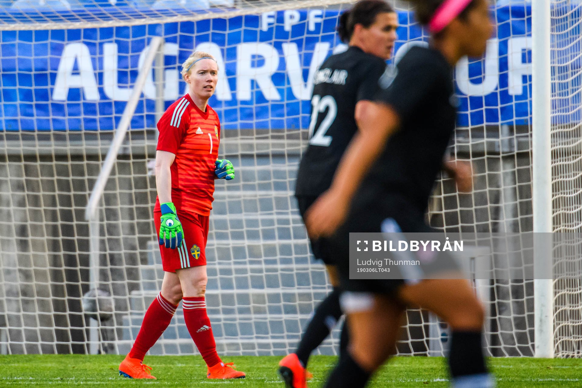 Goalkeeper Hedvig Lindahl of Sweden