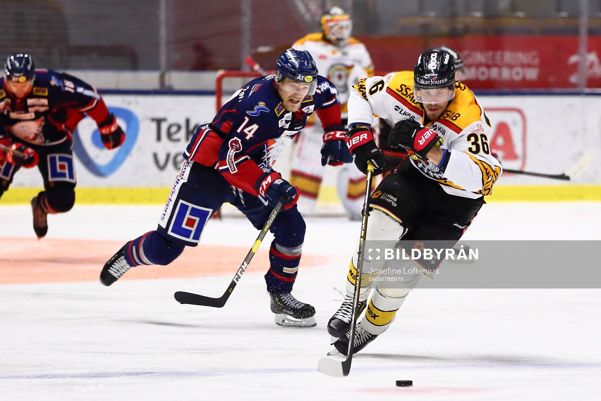 Luleås Emil Larsson jagas av Linköpings Kristoffer