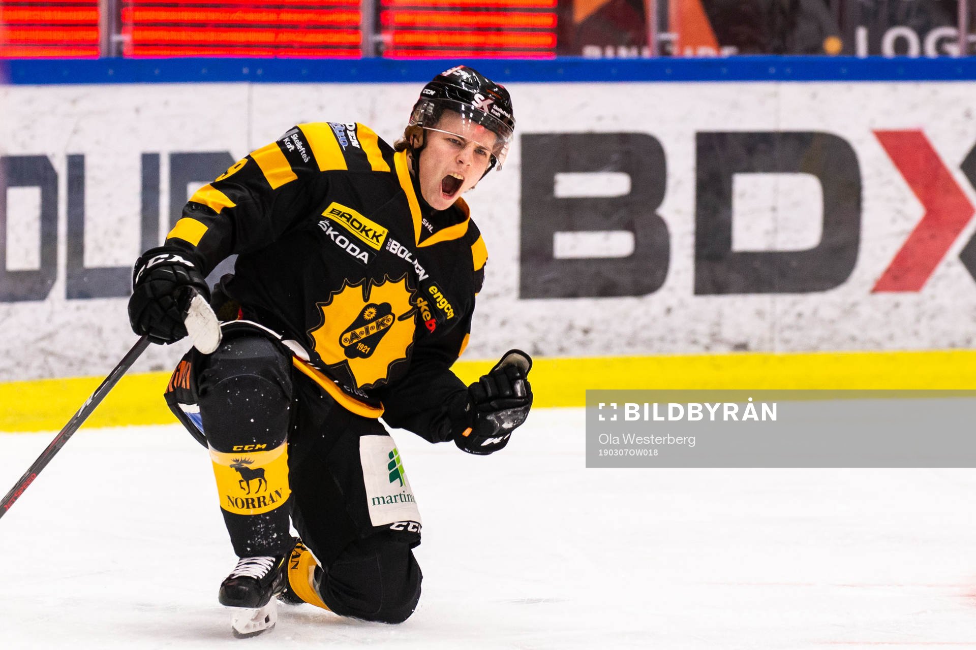 Skellefteås Tim Söderlund jublar