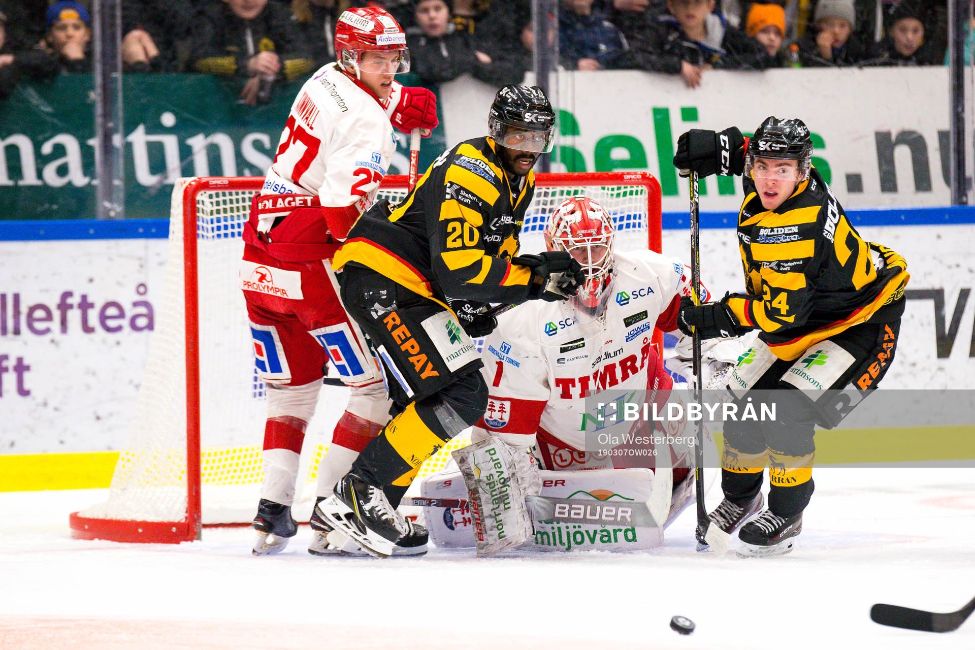 Skellefteås Edwin Hedberg och Andreas Wingerli