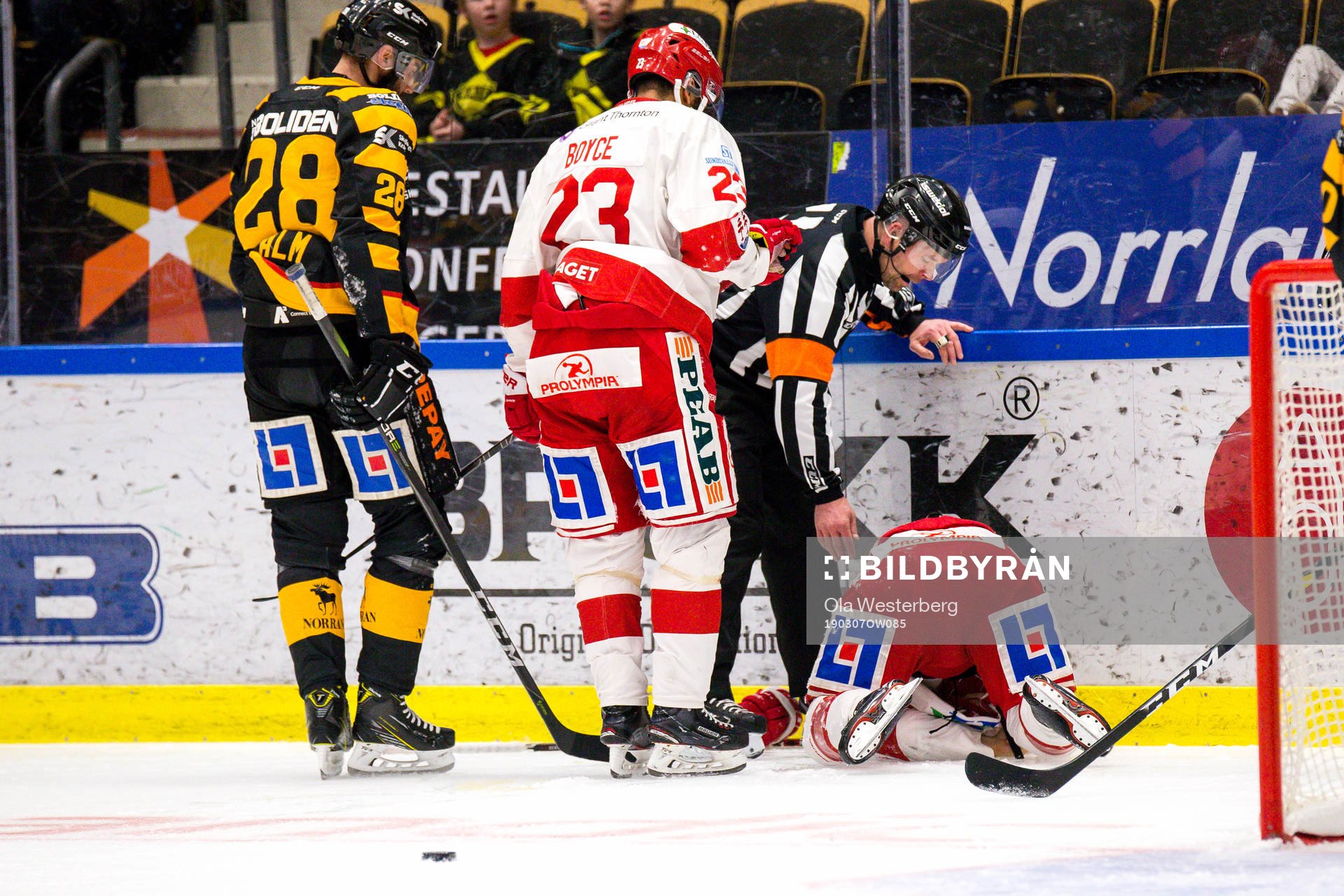 Timrås Emil Berglund får ont