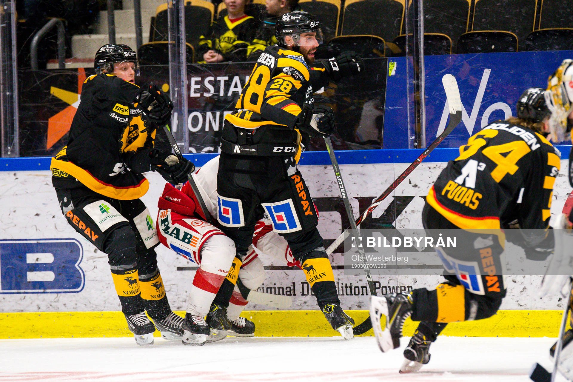 Skellefteås Johan Alm
