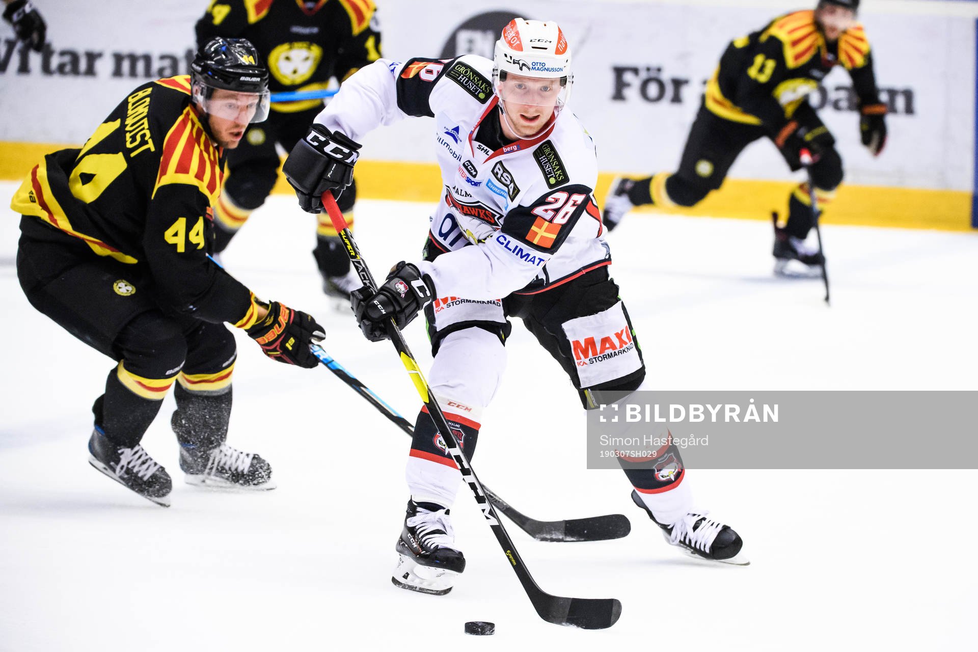 Malmö Redhawks Axel Wemmenborn