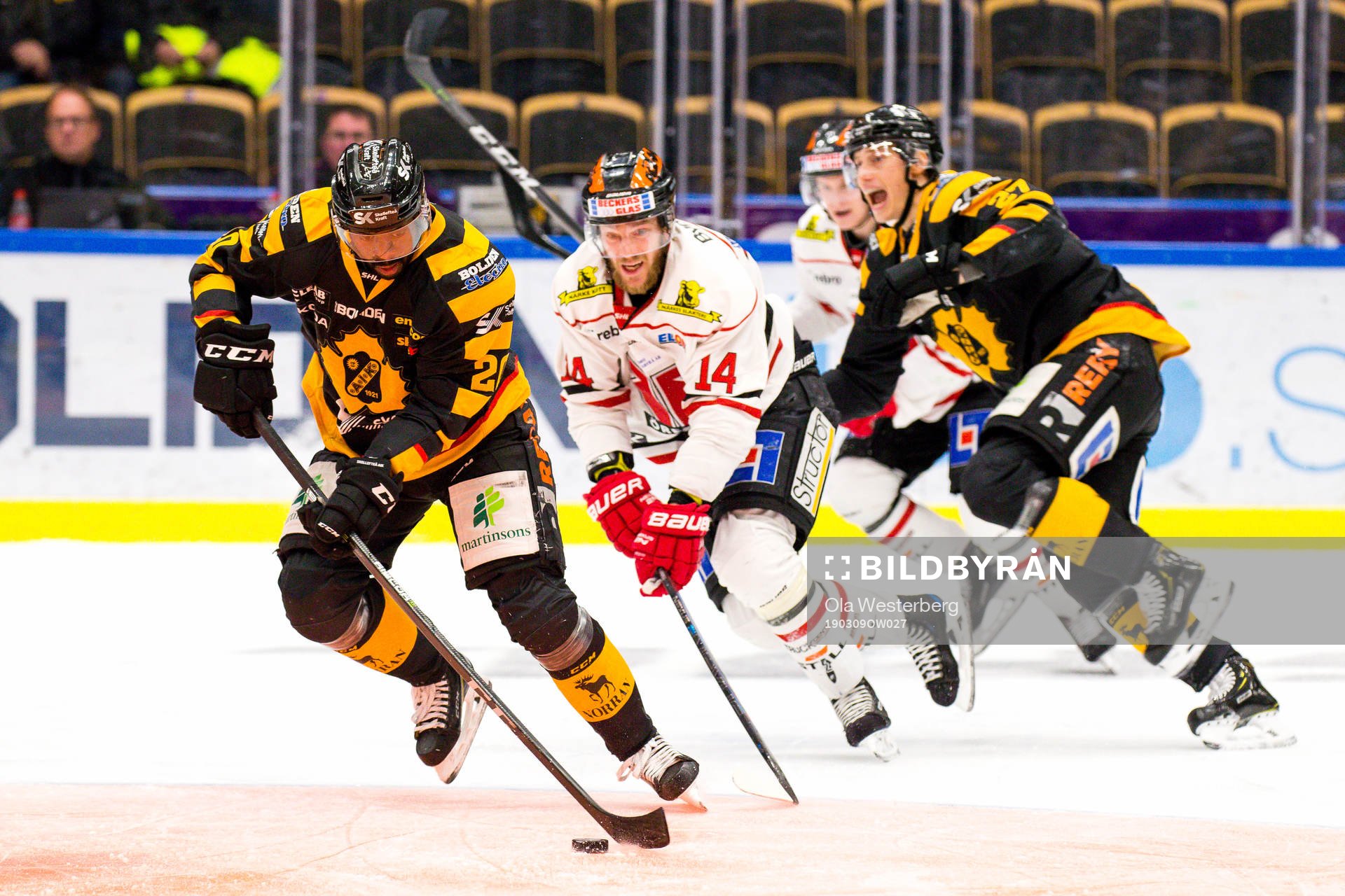 Skellefteås Edwin Hedberg