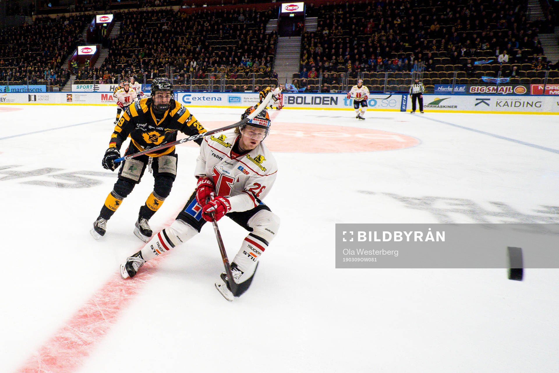 Skellefteås Albin Sundsvik