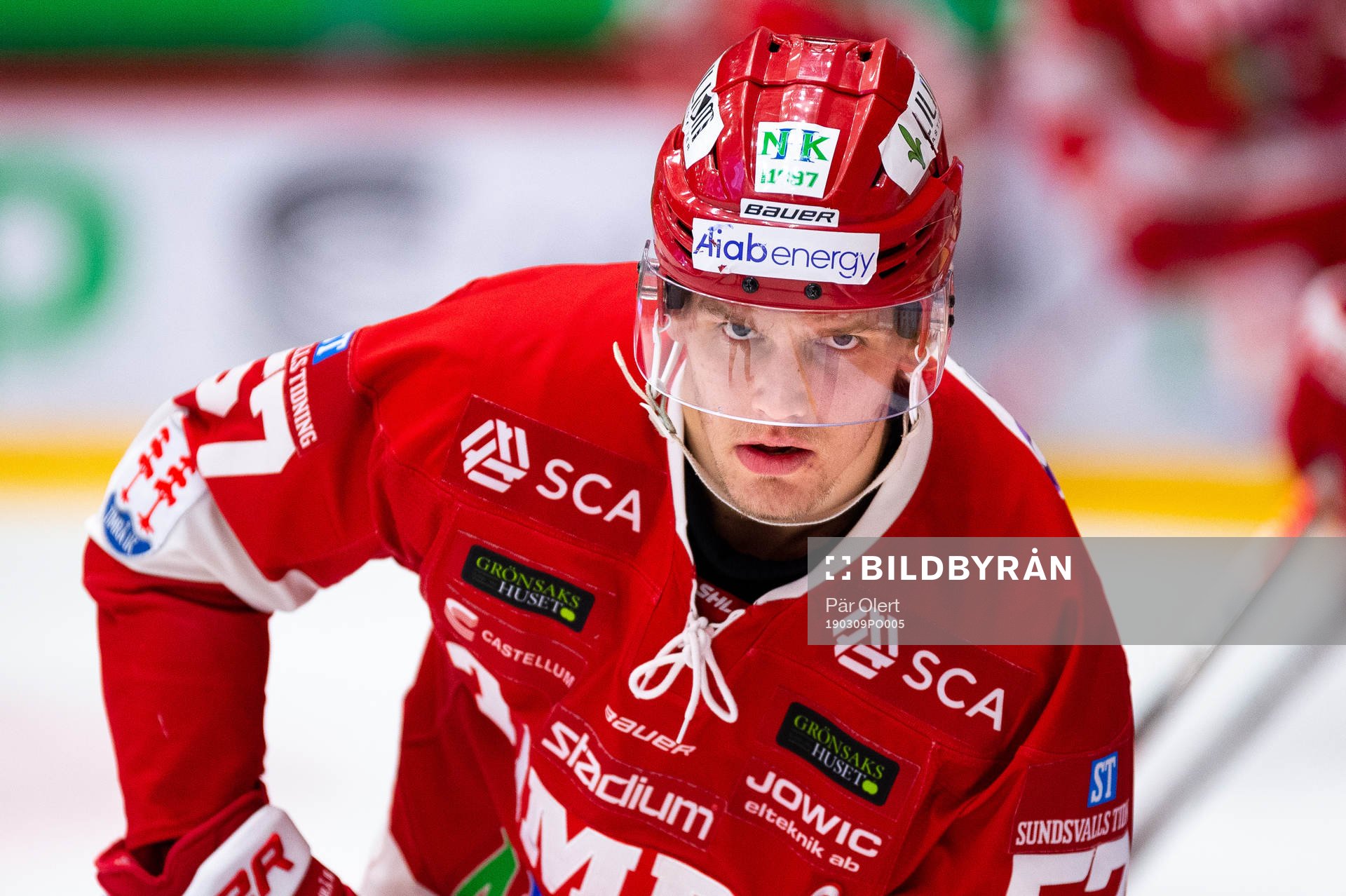 Timrås Anton Wedin