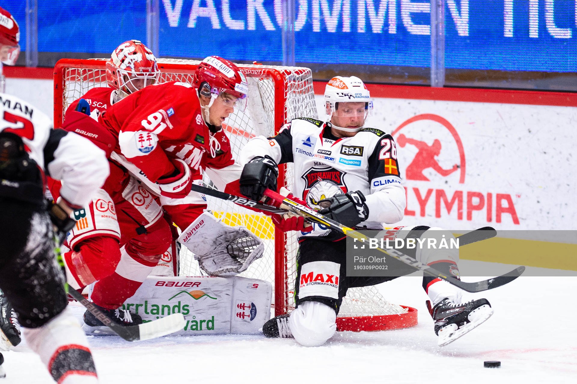 Timrås Filip Hållander och Malmö Redhawks Axel Wemmenborn
