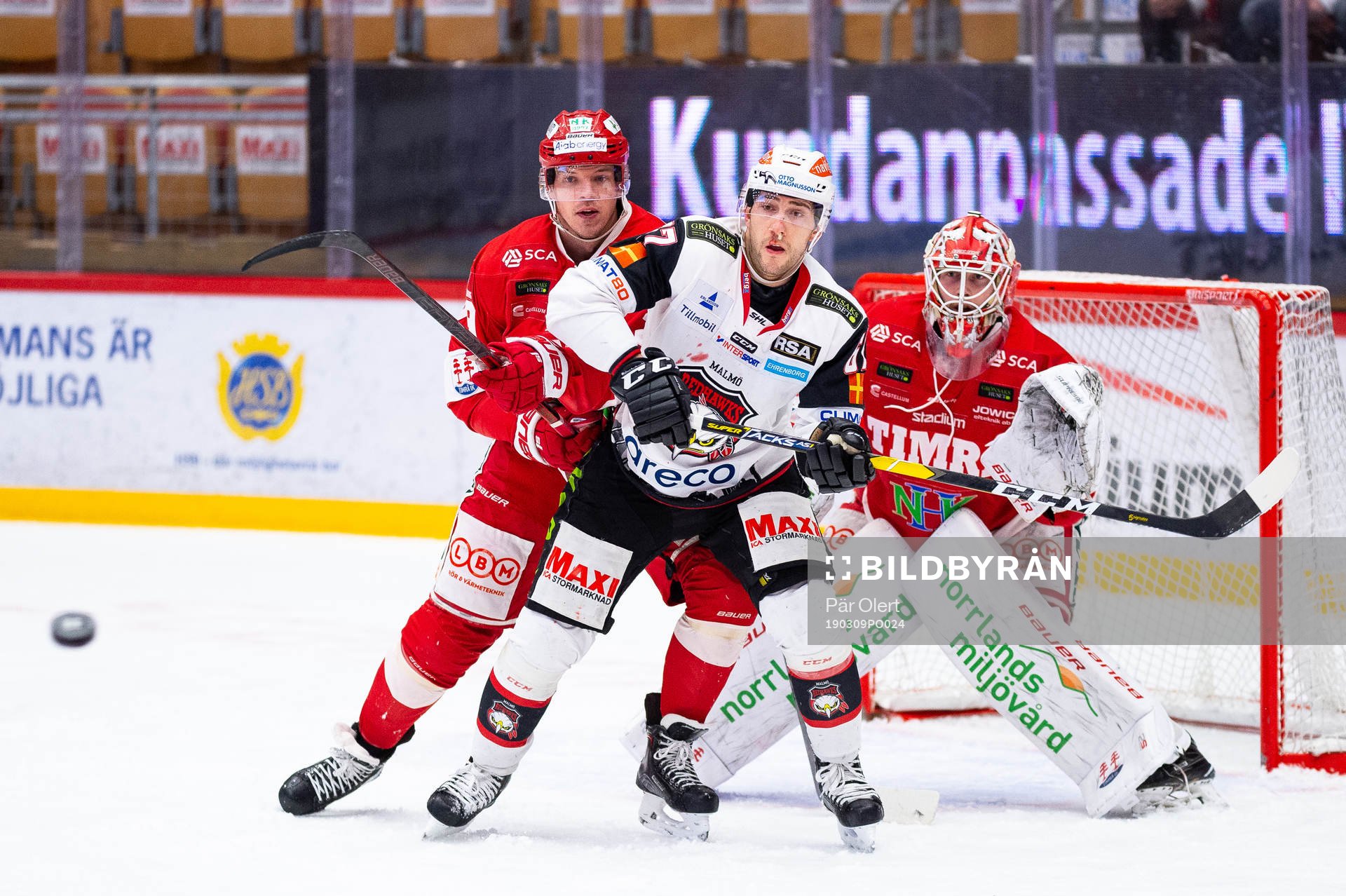 Timrås Morten Madsen och Malmö Redhawks Konstantin Komarek