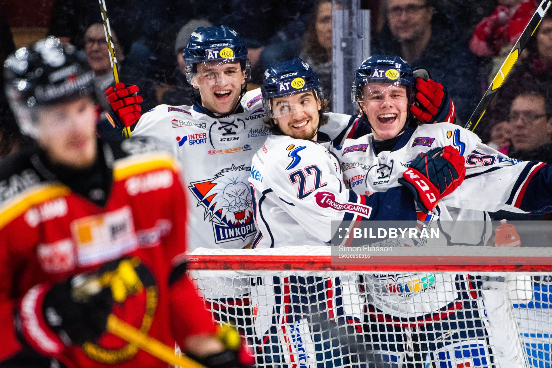 Linköpings Adam Ginning, Adam Brodecki och Olle Lycksell
