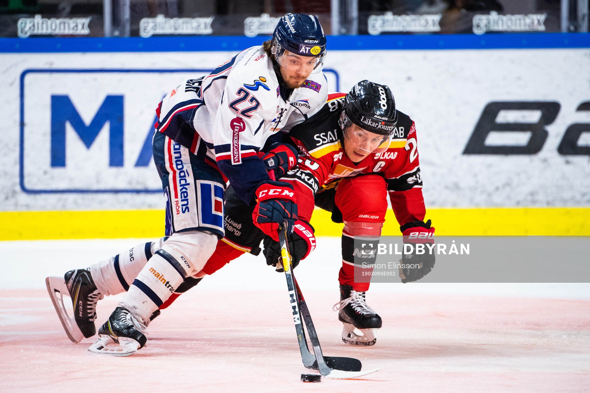 Linköpings Adam Brodecki och Luleås Erik Gustafsson