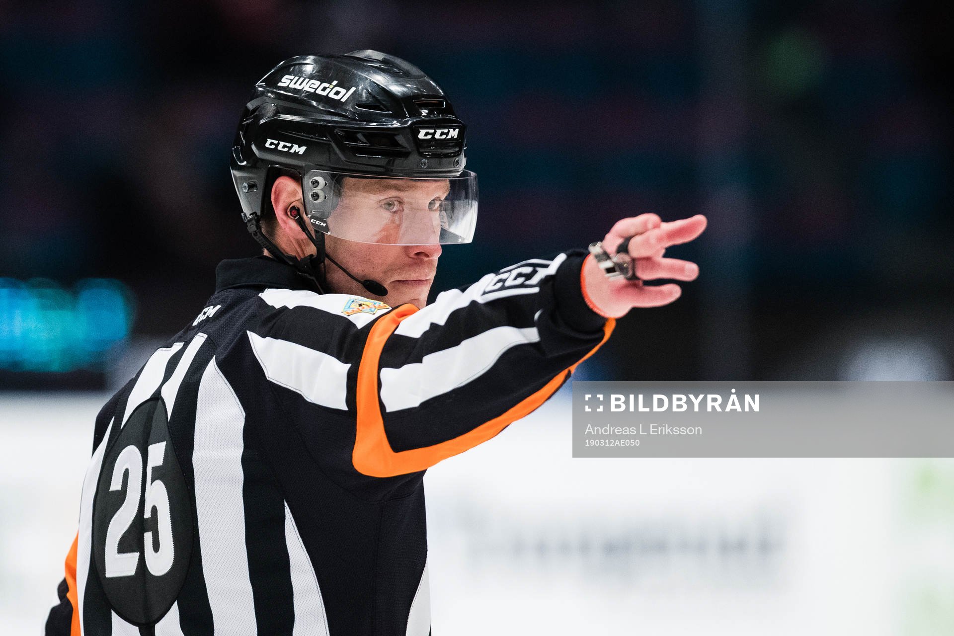 Domare Tobias Björk