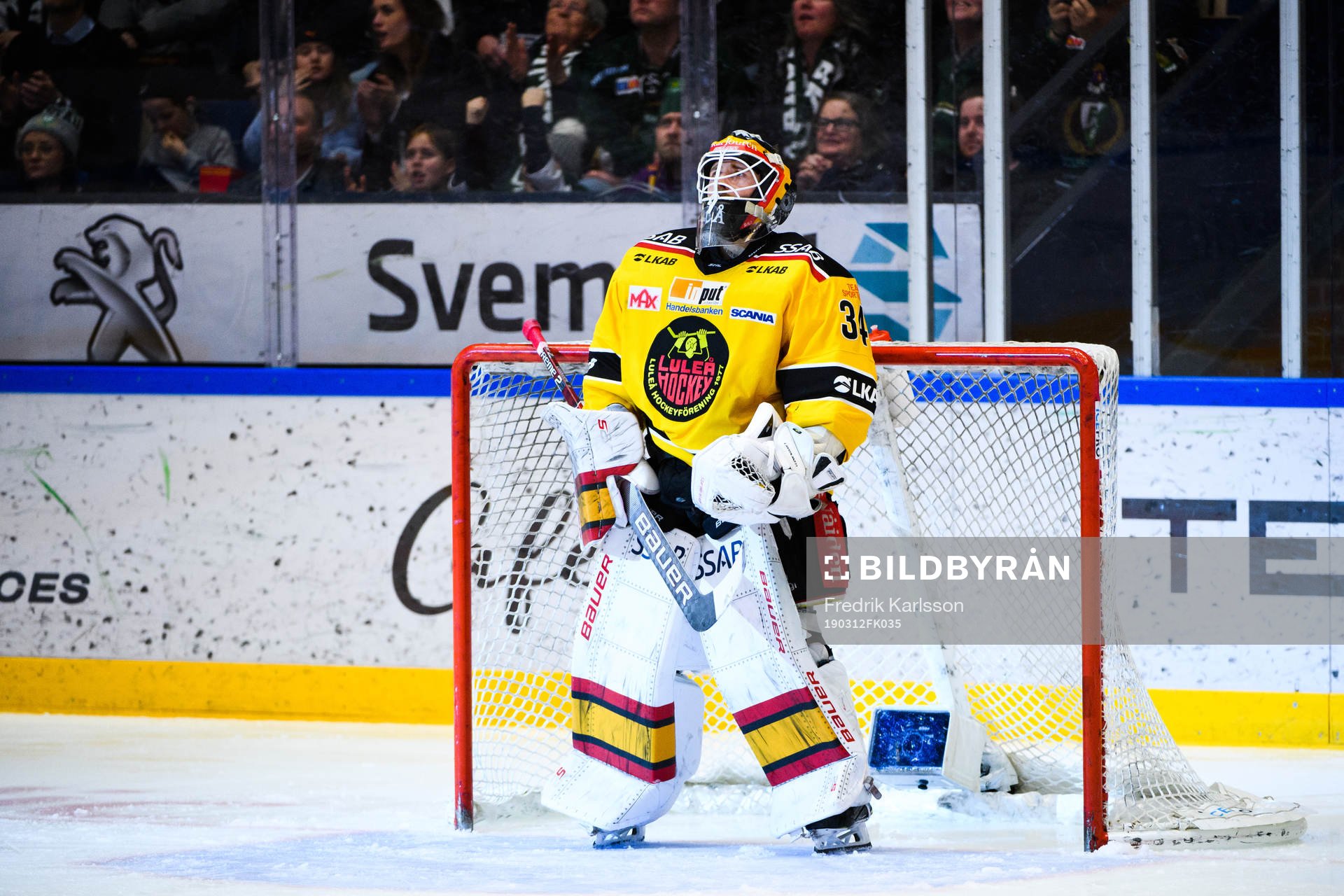 Luleås målvakt Joel Lassinantti