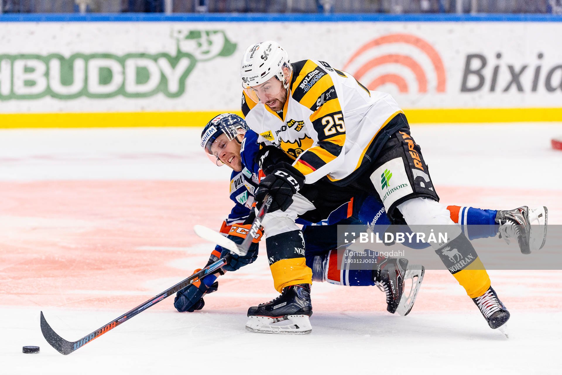 Skellefteås Albin Lundin