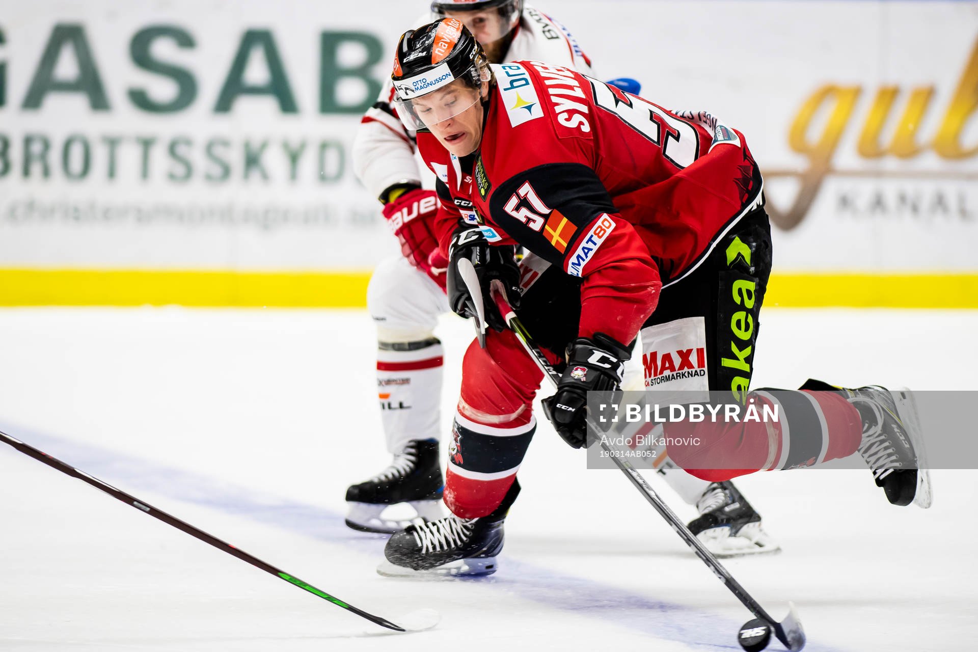 Malmö Redhawks Emil Sylvegård