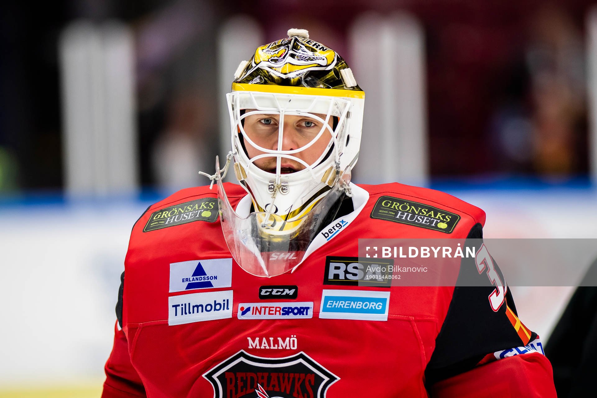 Malmö Redhawks målvakt Lars Volden