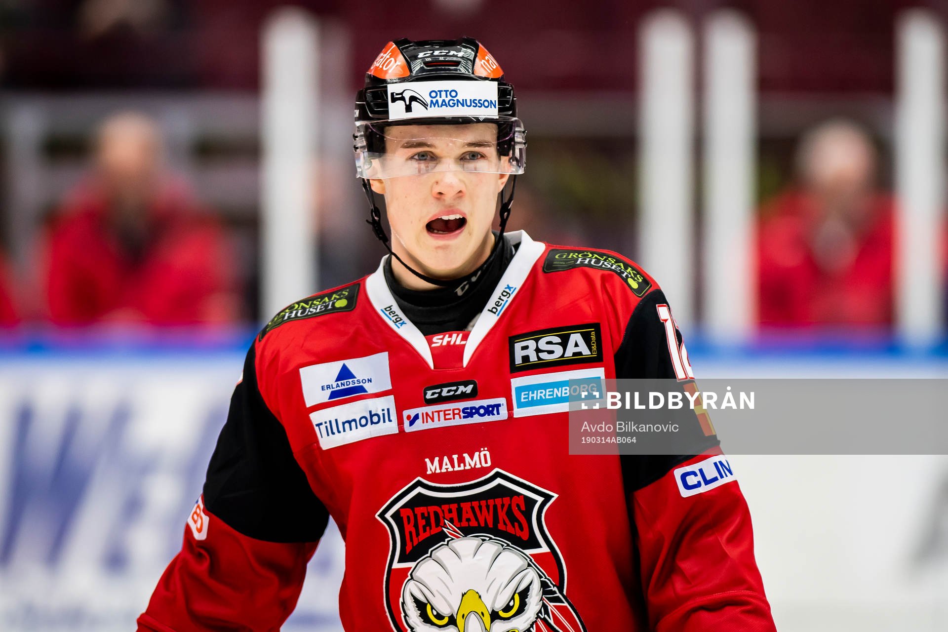 Malmö Redhawks Linus Cronholm