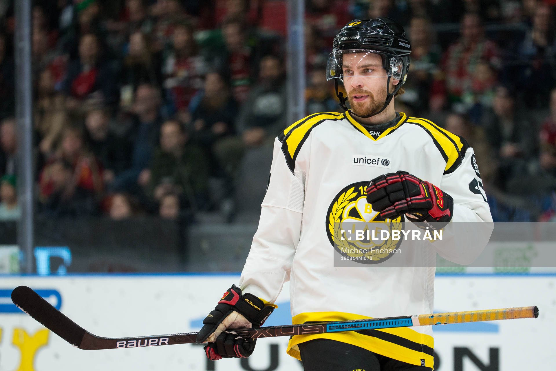 Brynäs Eric Norin
