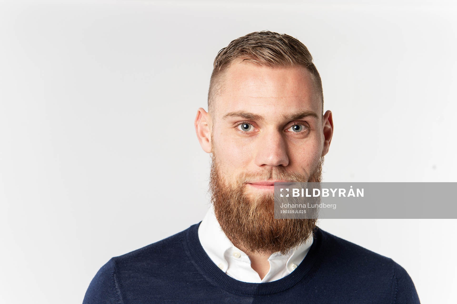 David Fällman, Hammarby
